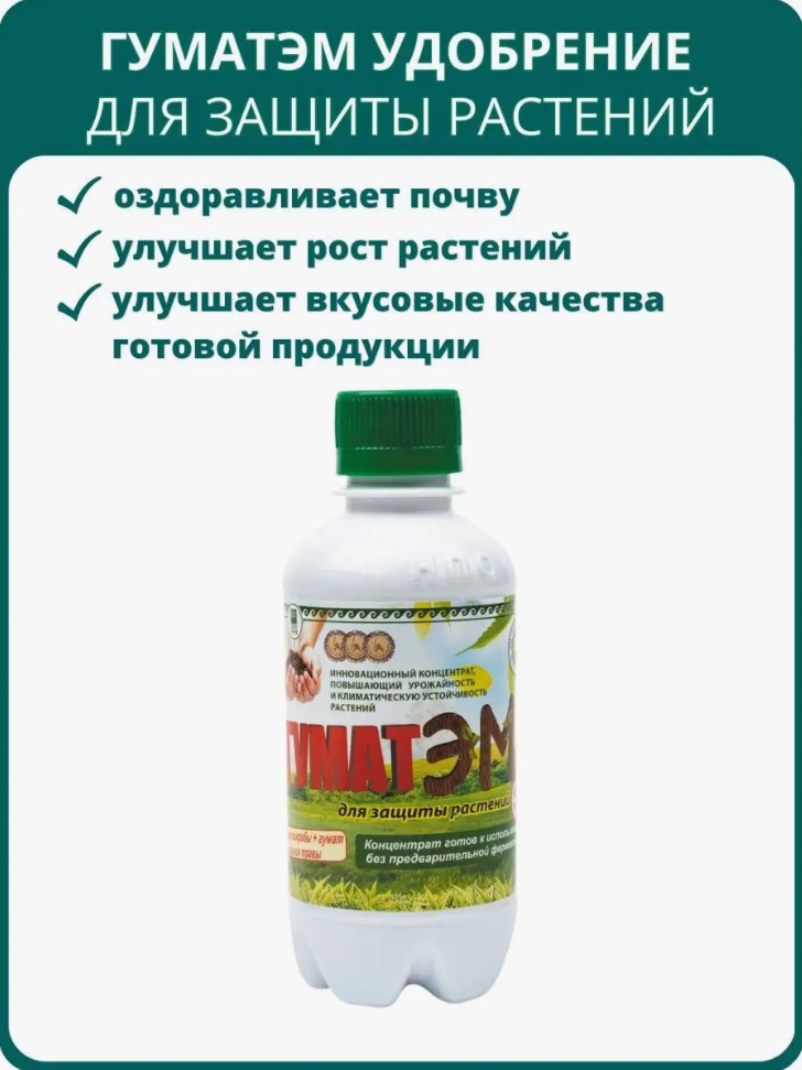 Арго-ЭМ1