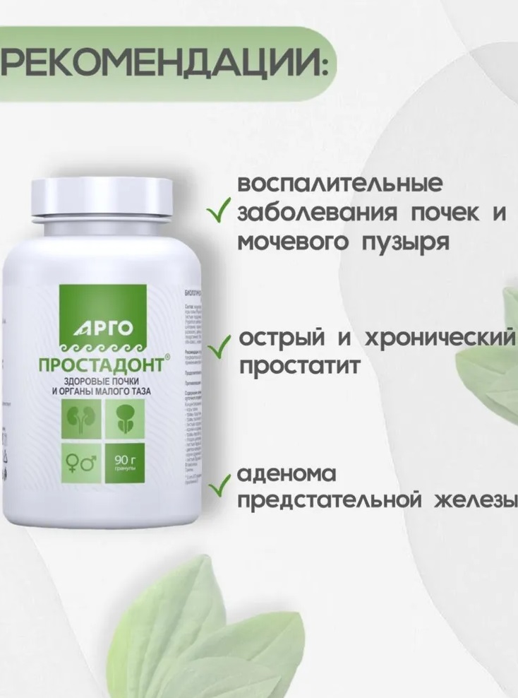 Простадонт
