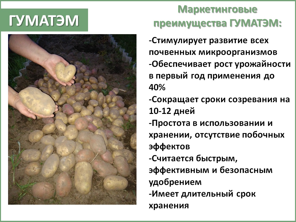 ГуматЭМ