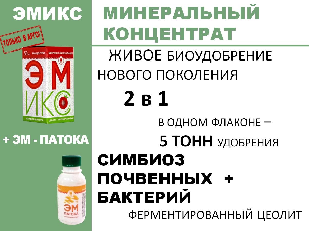 Эмикс