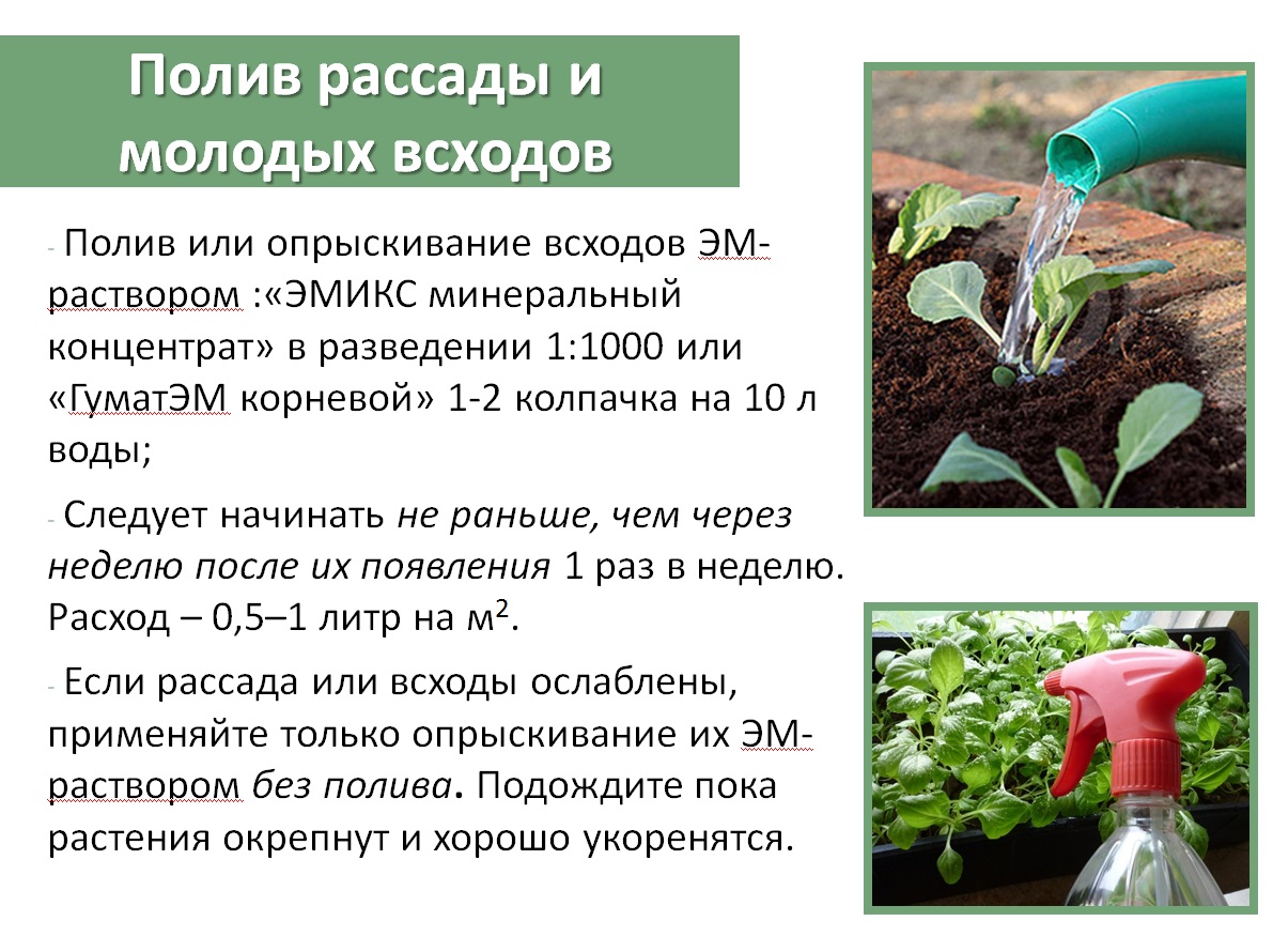 Эмикс