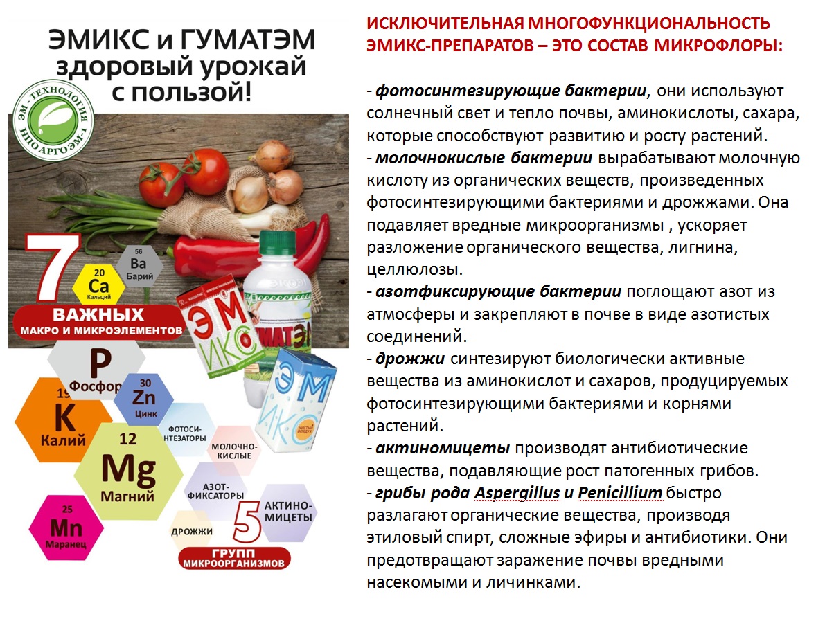 ГуматЭМ