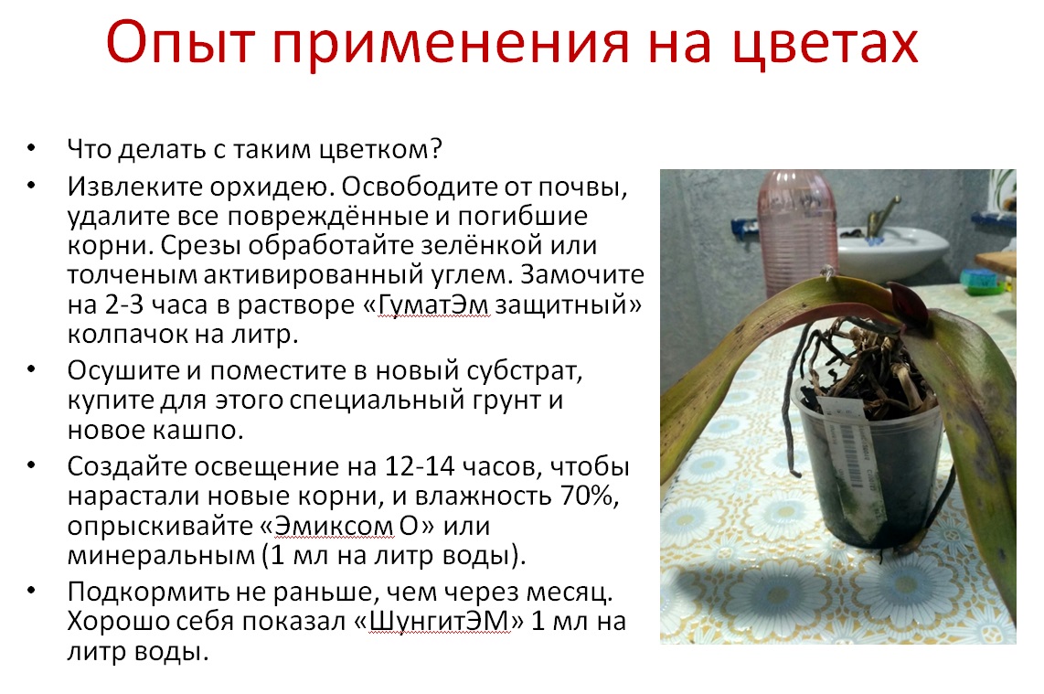 ГуматЭМ