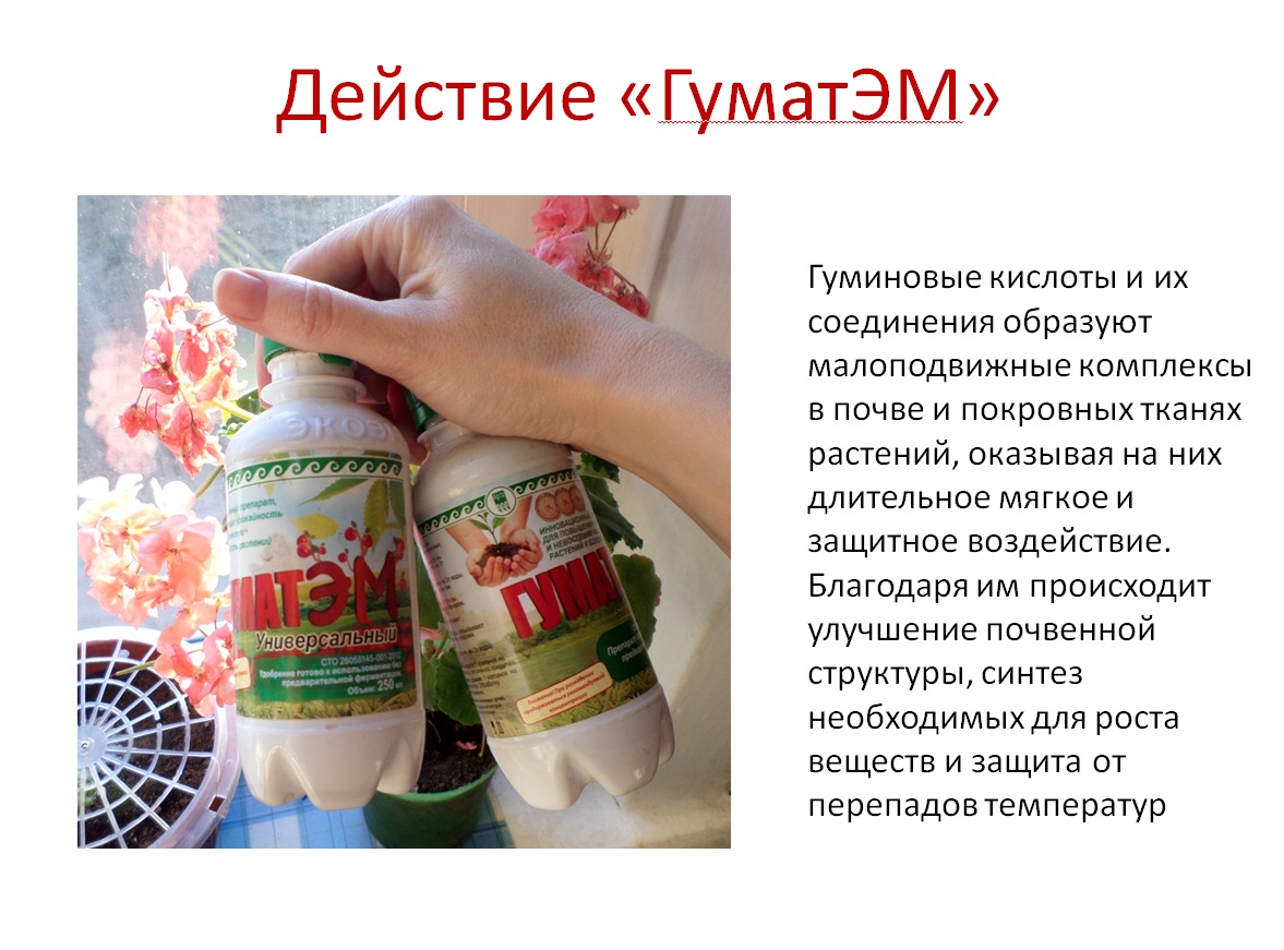 ГуматЭМ