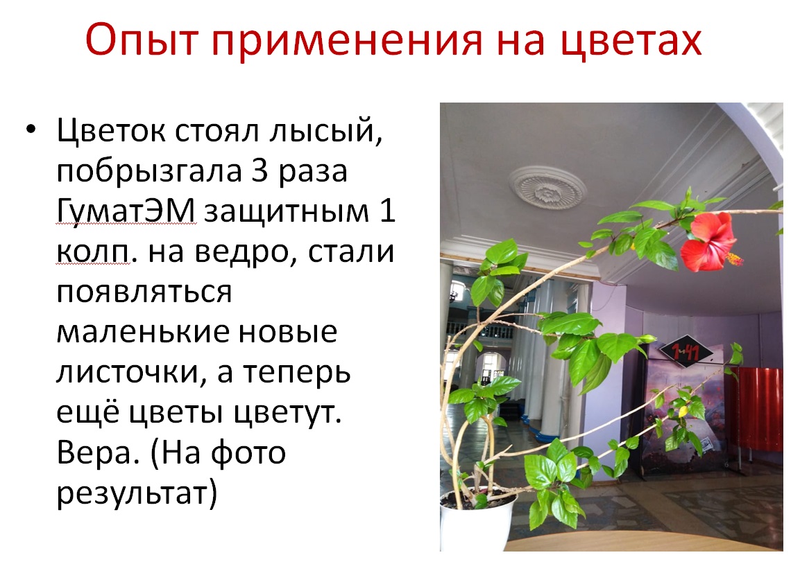 ГуматЭМ