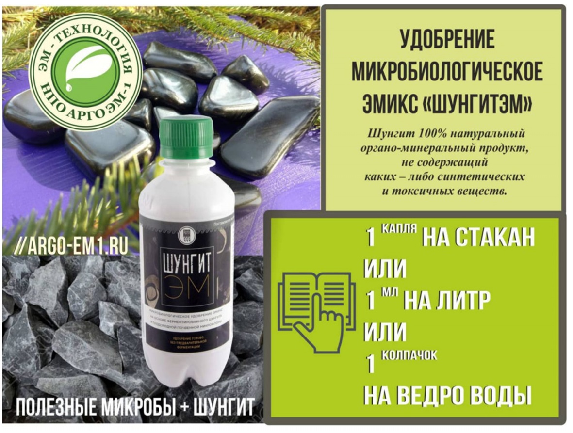 ШунгитЭМ