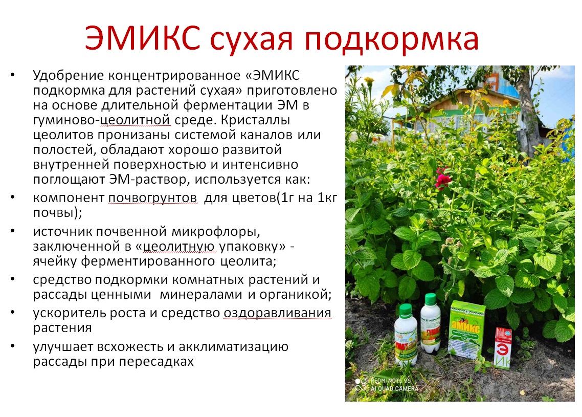 Эмикс