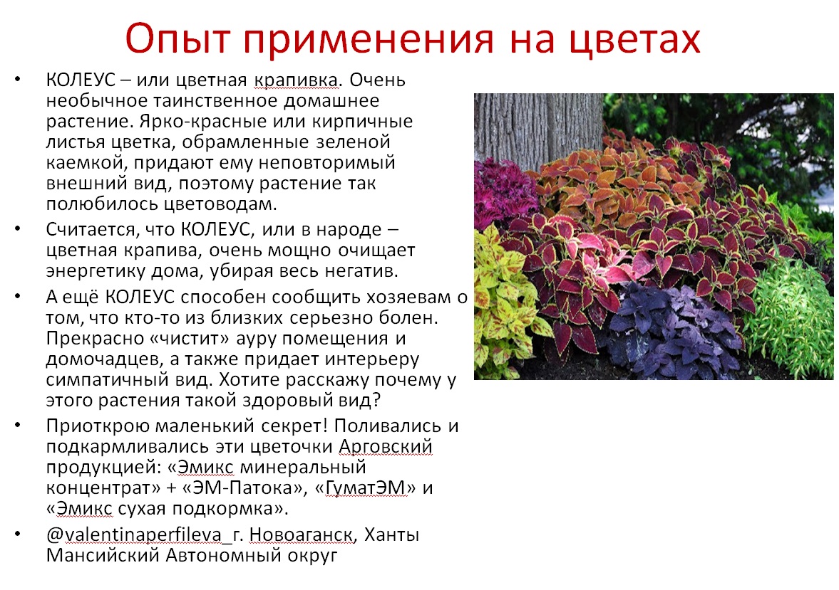 ГуматЭМ