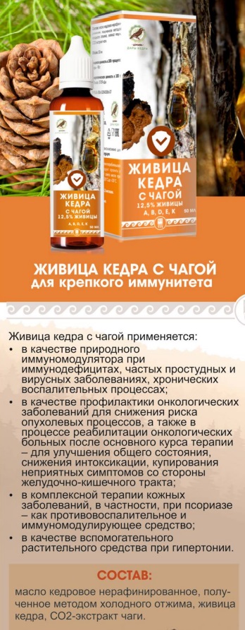 Живица кедра с чагой