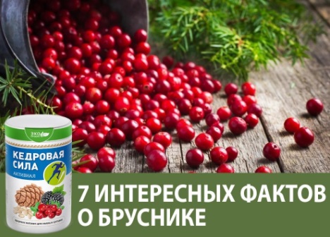 Кедровая сила