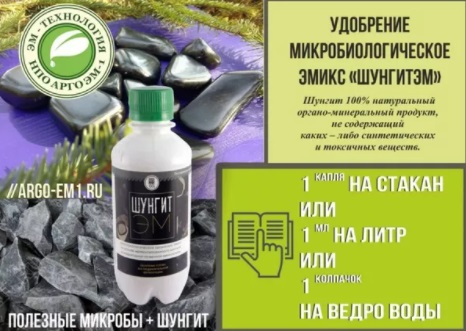 ШунгитЭМ