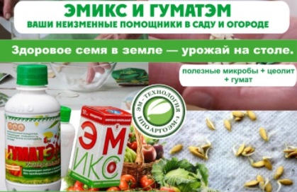 Эмикс