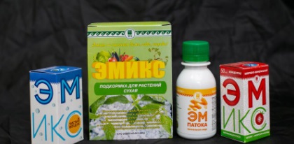 Эмикс