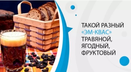 ЭМ-квас