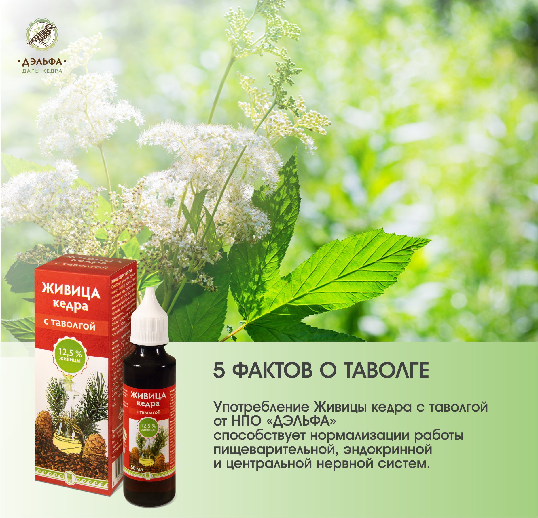 Живица с таволгой