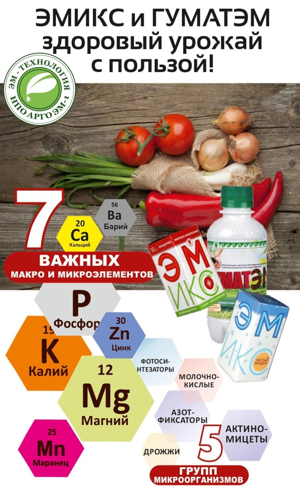 ЭМ-технология