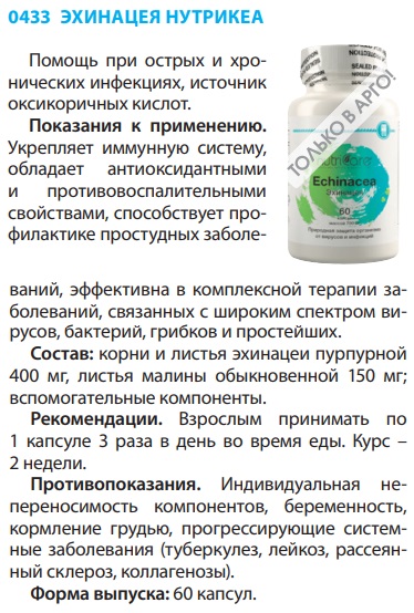 Эхинацея