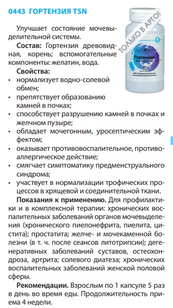 Гортензия