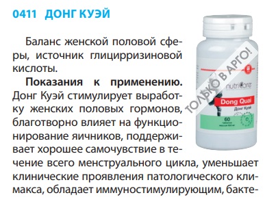 Донг Куэй