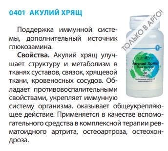 Акулий Хрящ