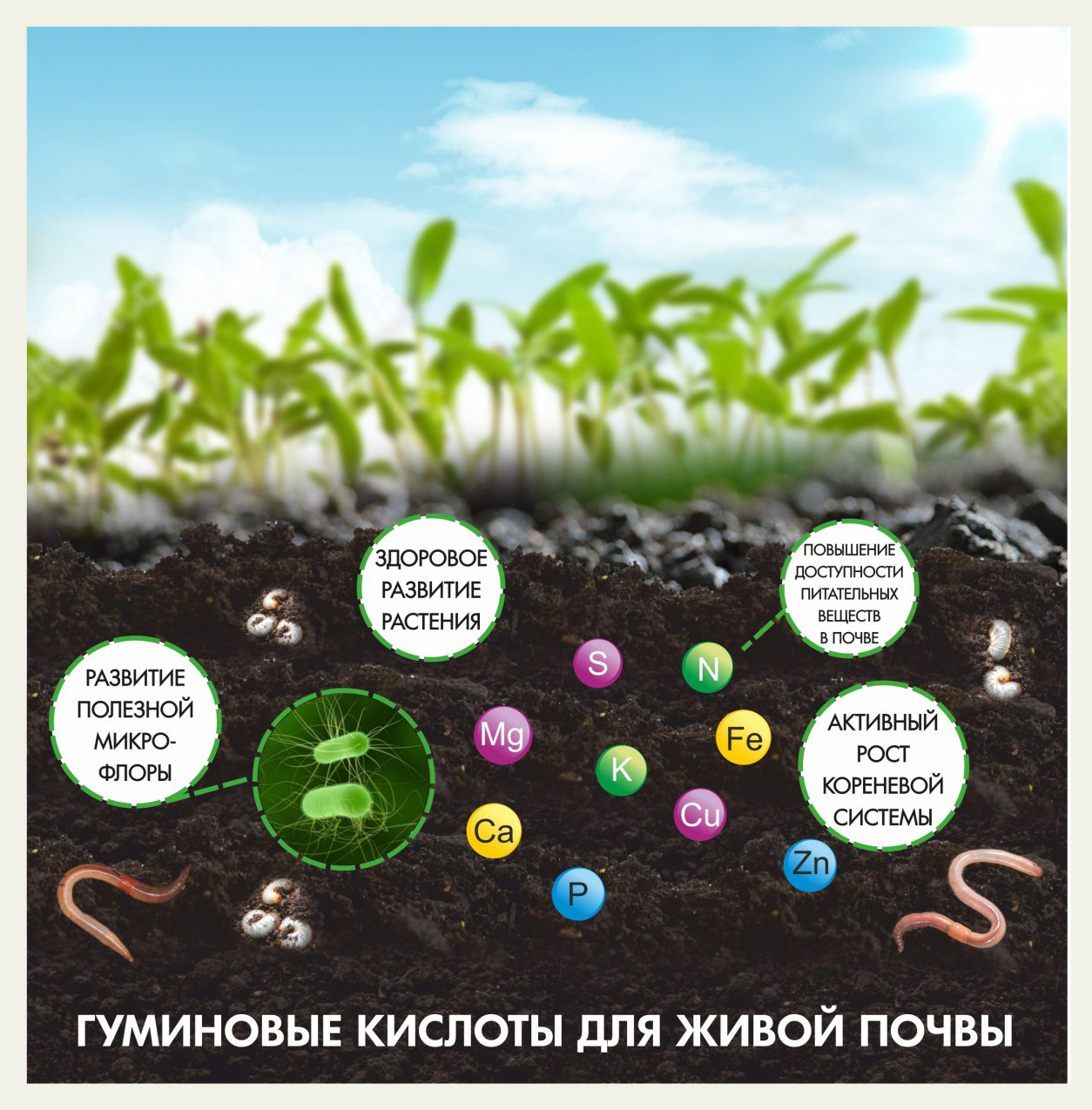 ГуматЭМ