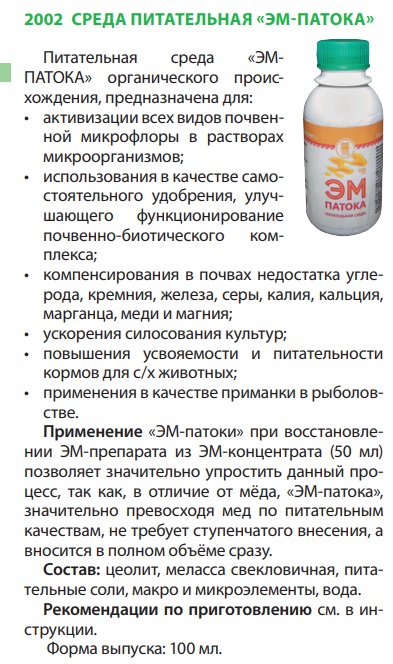 Патока