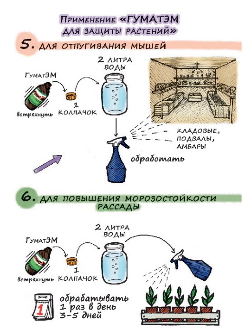 ГуматЭМ