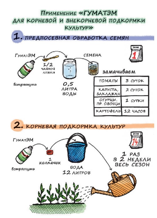 ГуматЭМ