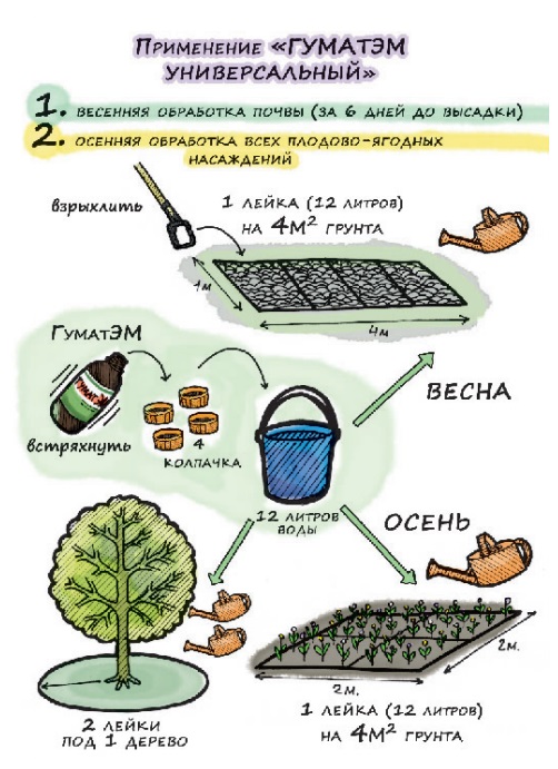 ГуматЭМ