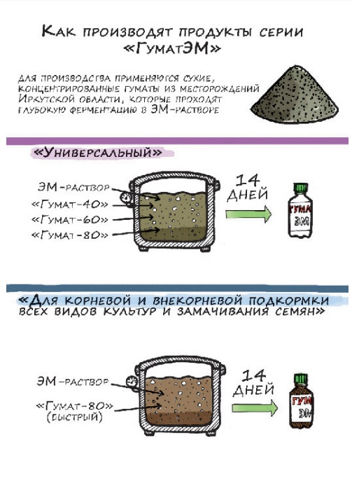 ЭМ-технология