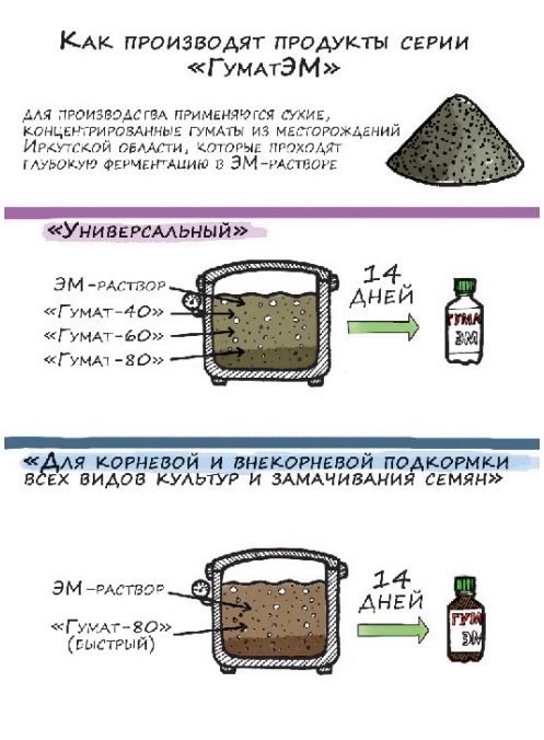 ГуматЭМ