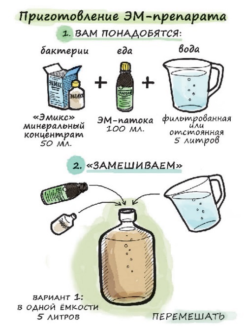 Эмикс