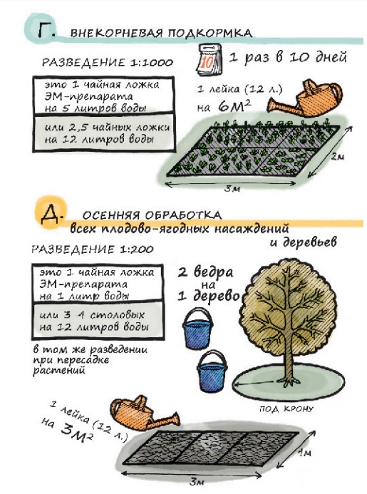 Эмикс
