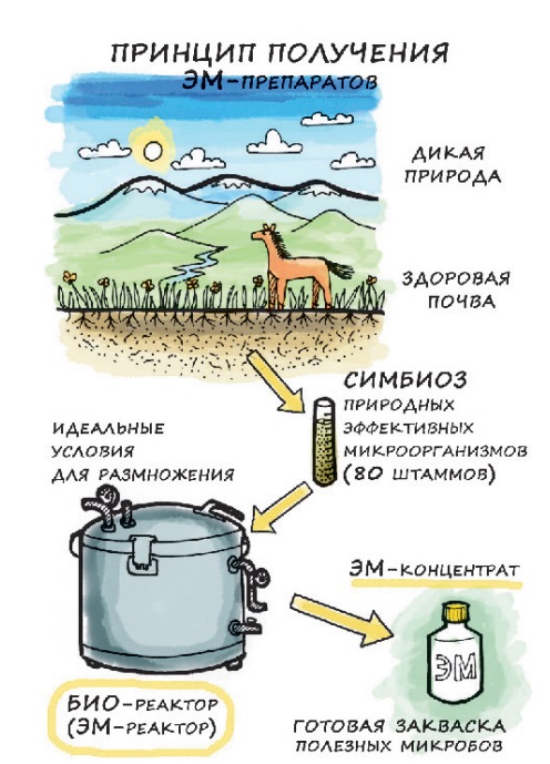 Эмикс