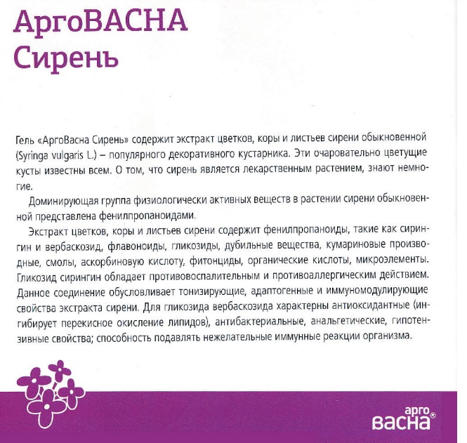 Арговасна Сирень