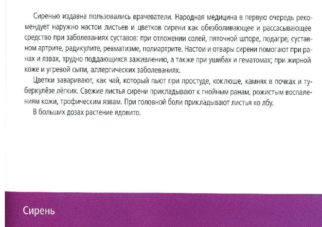 ВекторПро