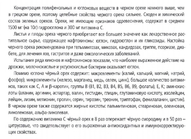 Арговасна Орех