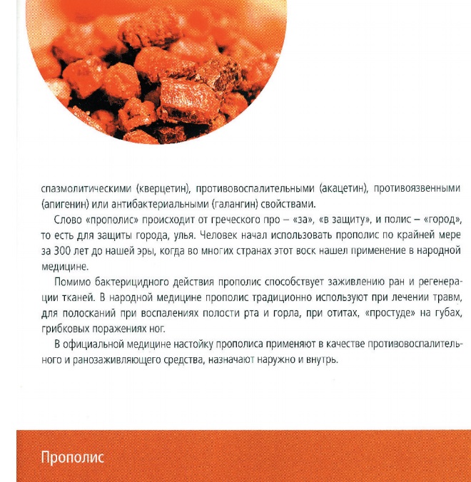 ВекторПро