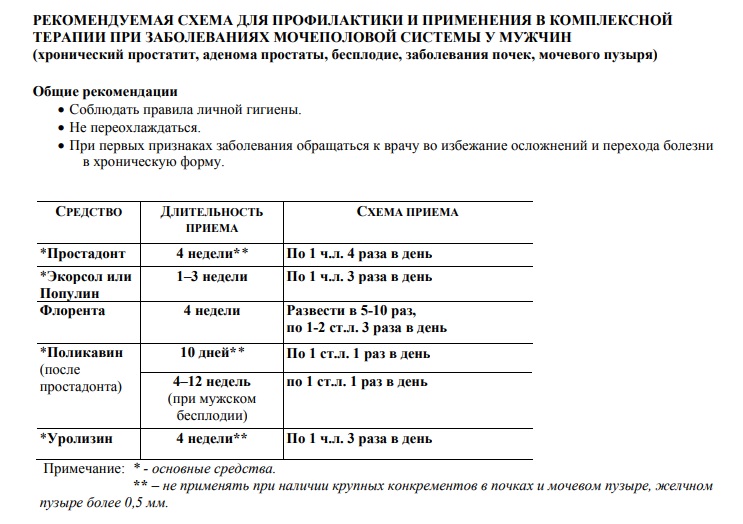 Простадонт