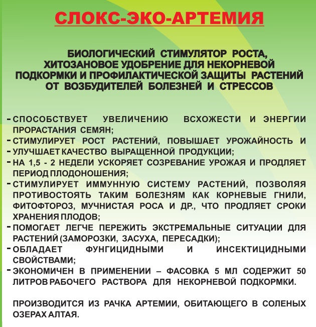 СЛОКС