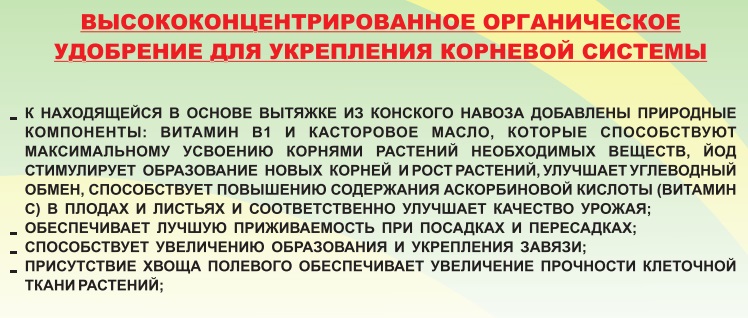 СЛОКС для корней