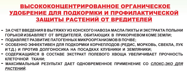 СЛОКС