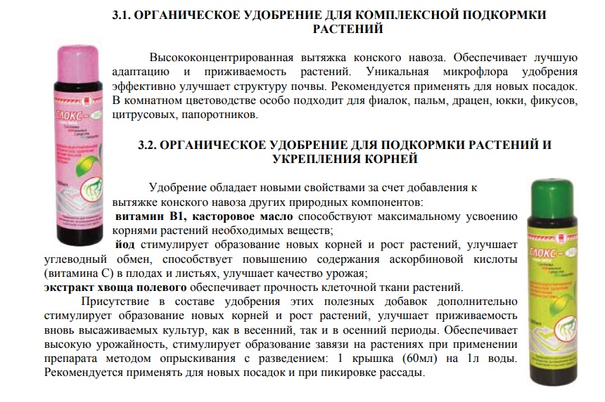 СЛОКС