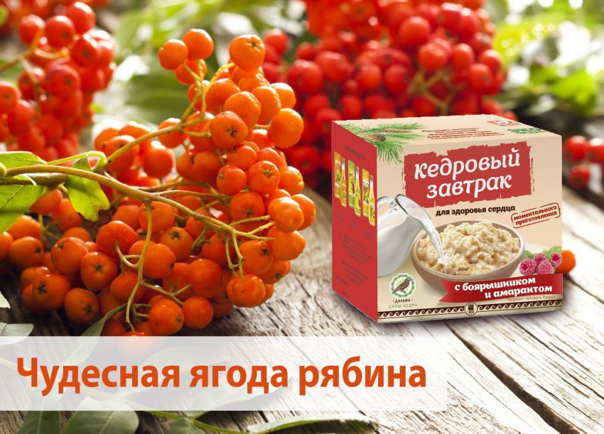 Кедровый завтрак для сердца
