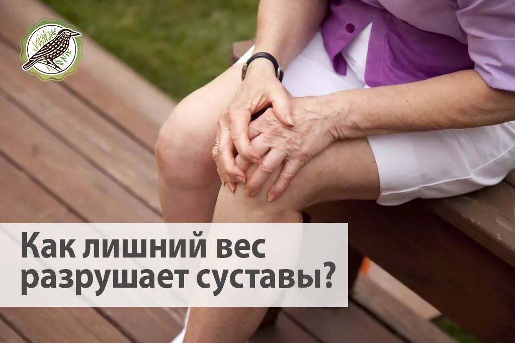 Дэльфа