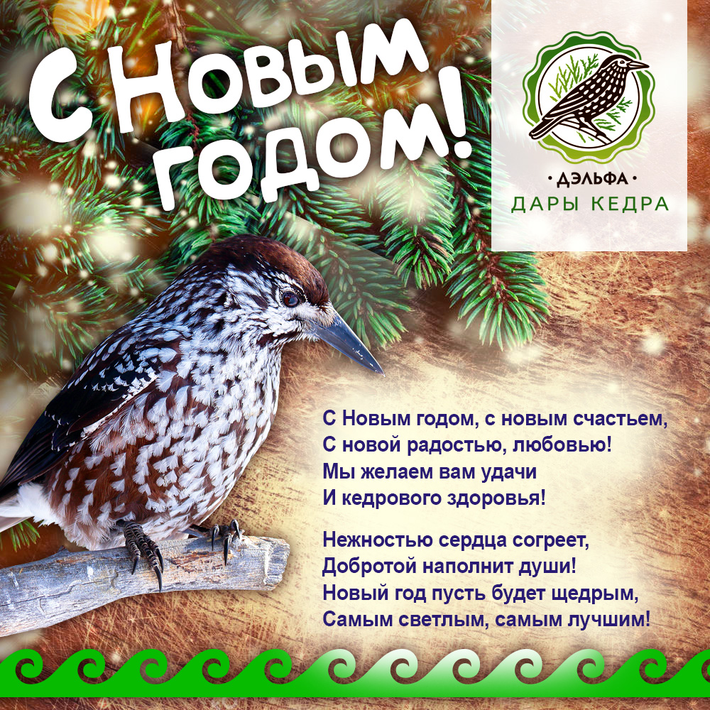 Дэльфа