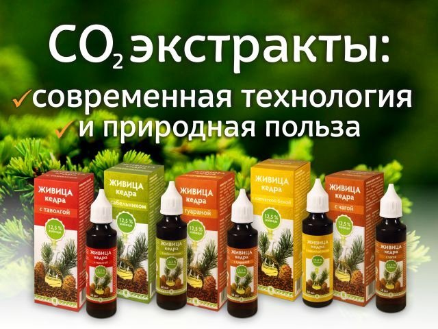 Живица кедра