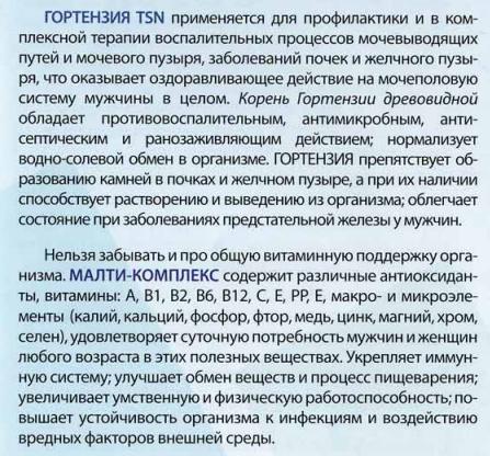 Гортензия