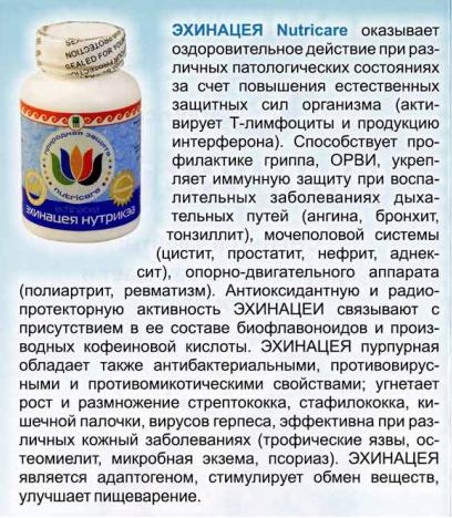 Эхинацея