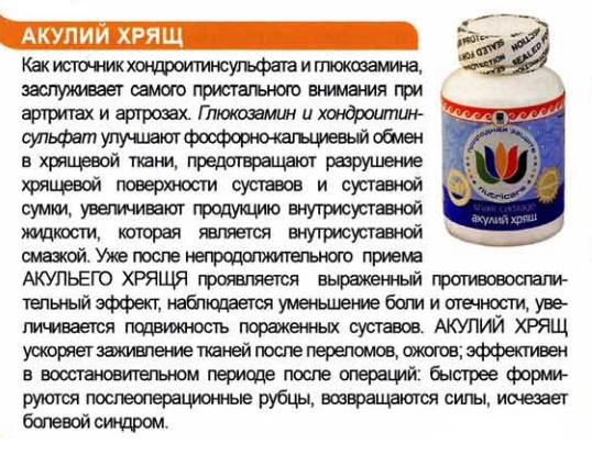 Акулий Хрящ